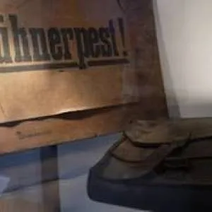 Ein Bilder-Rundgang durch das Museum im Rathaus Eglosheim